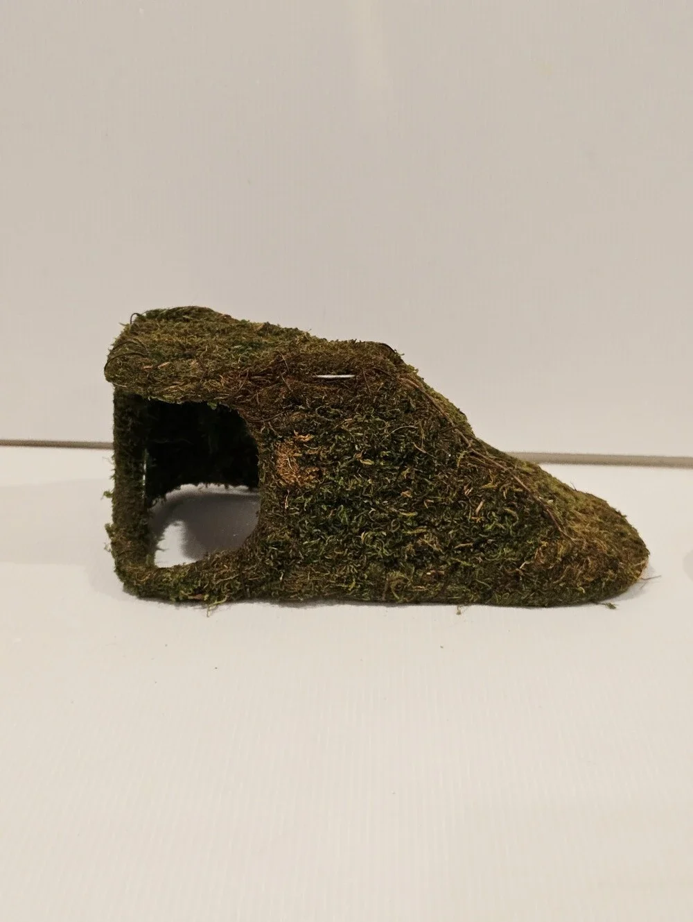 Galapagos Sapa Corner Hide Terrarium Hideaway